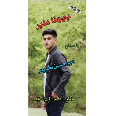 امیرحسین گلپور بی وفا دلبر